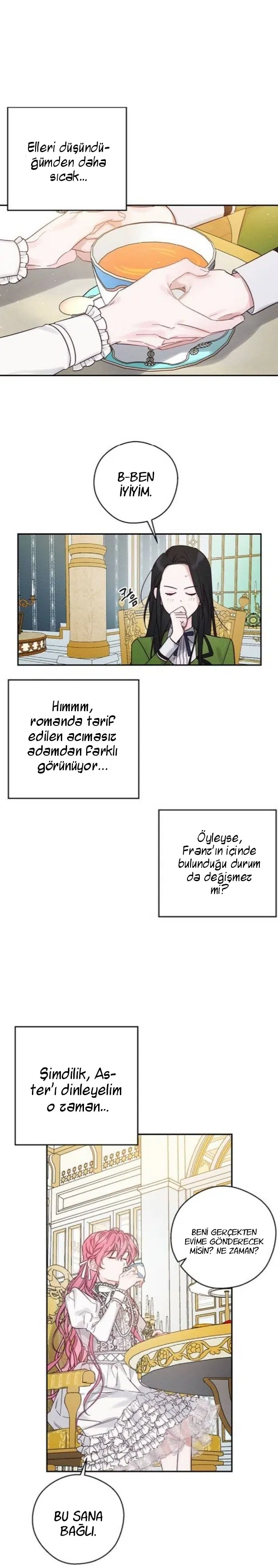 Kardeş Koruma Operasyonu - Bölüm 40 Sayfa 19
