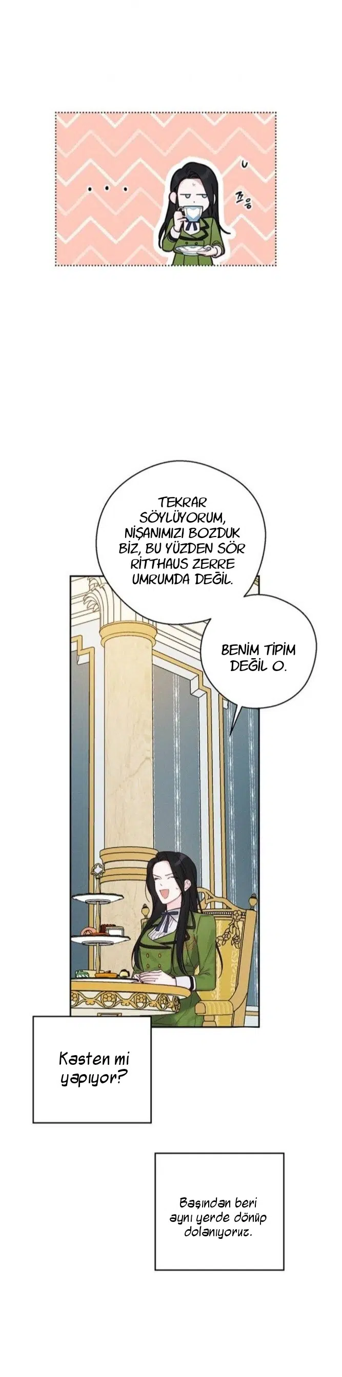 Kardeş Koruma Operasyonu - Bölüm 40 Sayfa 29