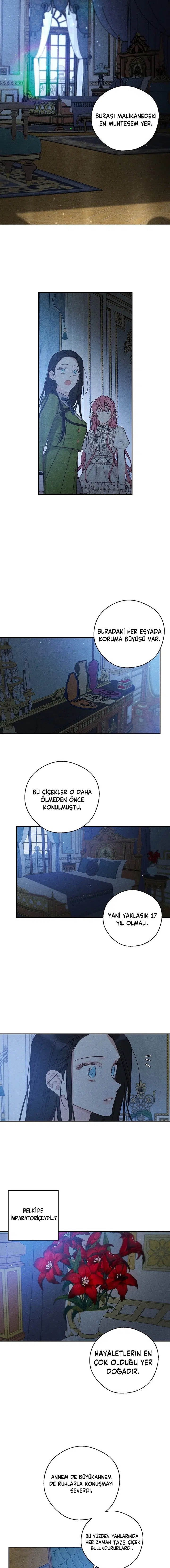 Kardeş Koruma Operasyonu - Bölüm 41 Sayfa 11