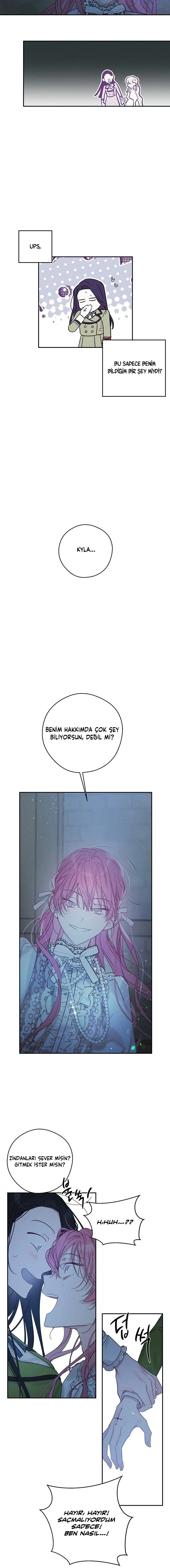 Kardeş Koruma Operasyonu - Bölüm 41 Sayfa 18