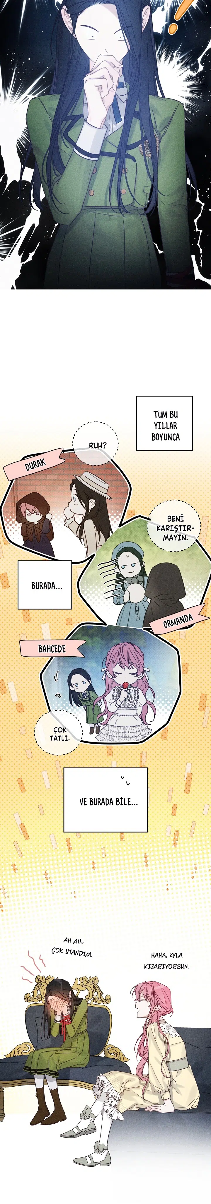 Kardeş Koruma Operasyonu - Bölüm 44 Sayfa 11