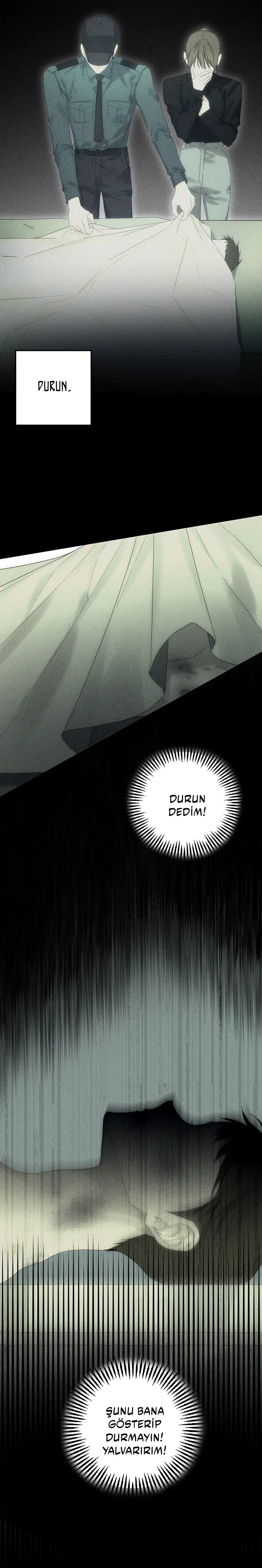 Kardeş Koruma Operasyonu - Bölüm 52 Sayfa 9