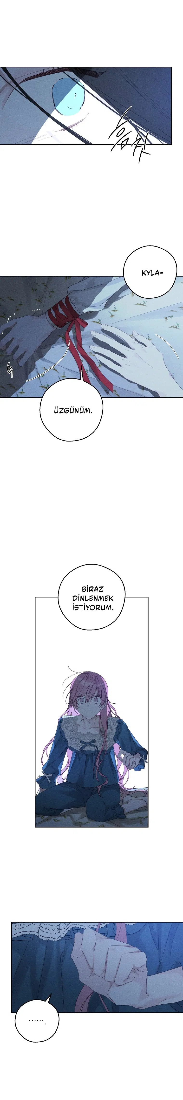 Kardeş Koruma Operasyonu - Bölüm 52 Sayfa 12