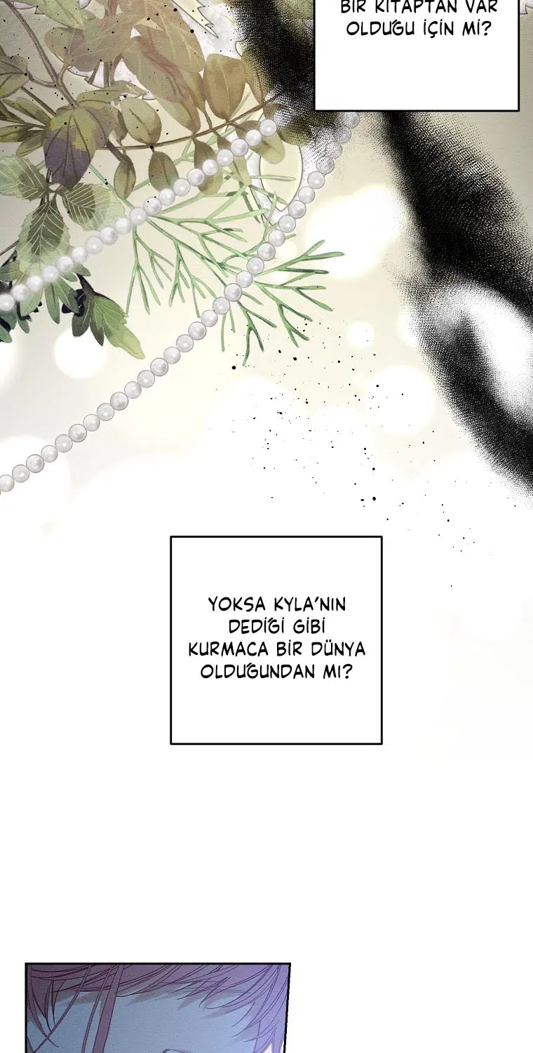 Kardeş Koruma Operasyonu - Bölüm 58 Sayfa 14