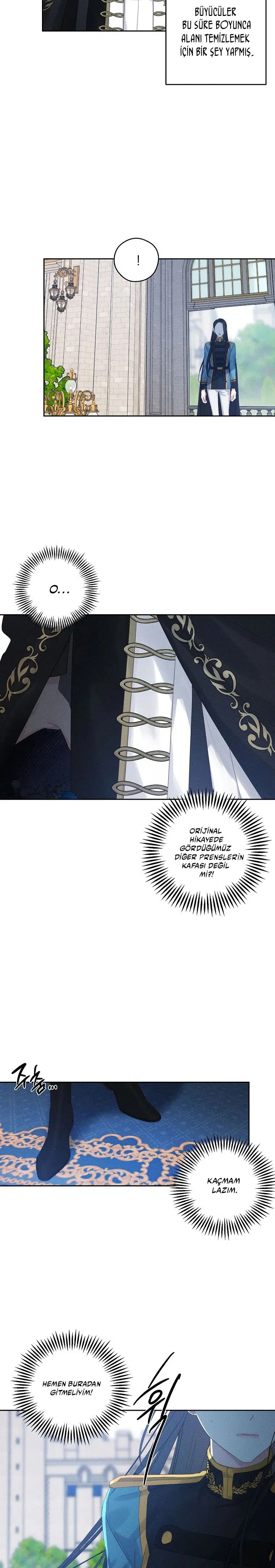 Kardeş Koruma Operasyonu - Bölüm 73 Sayfa 15