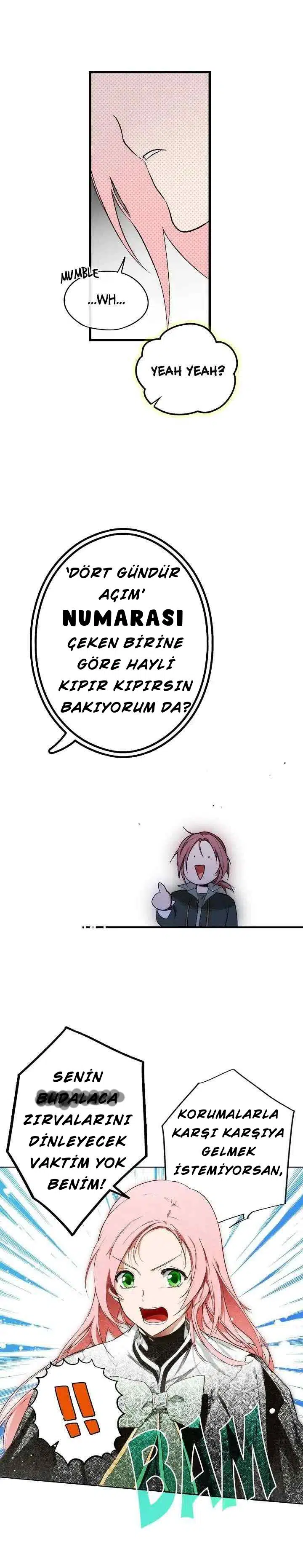 Üvey Anne Efsanesi - Bölüm 17 Sayfa 12