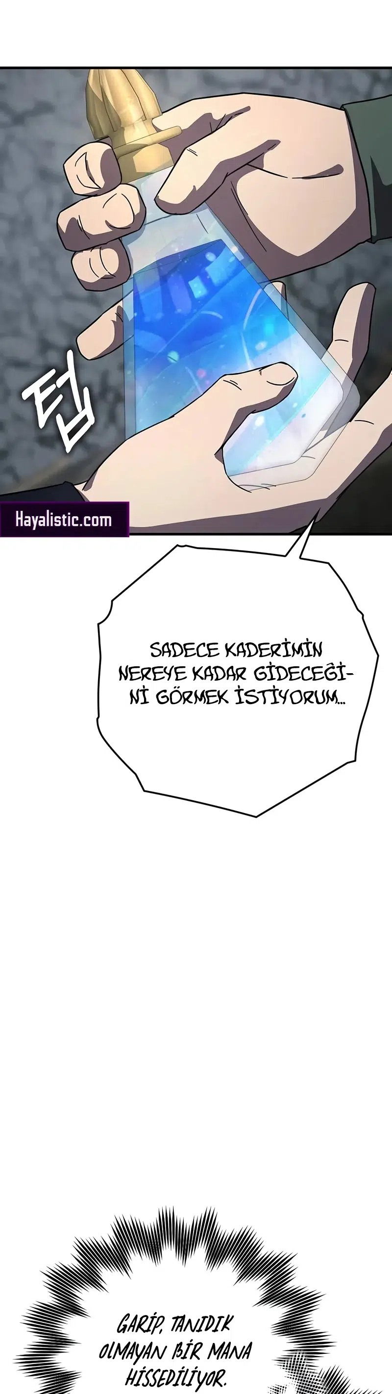 Sınırları Aşan Dahi Büyücü - Bölüm 27 Sayfa 52