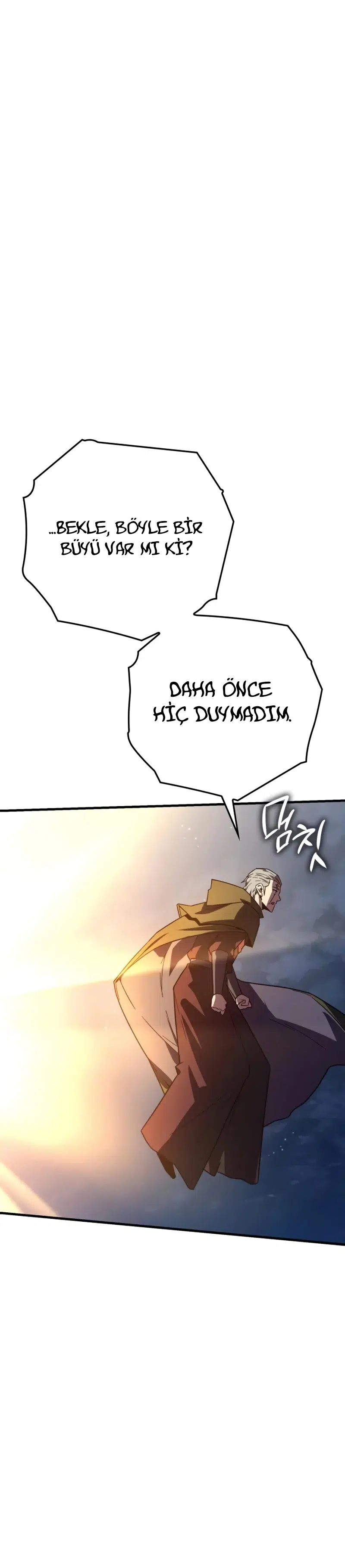 Sınırları Aşan Dahi Büyücü - Bölüm 29 Sayfa 17