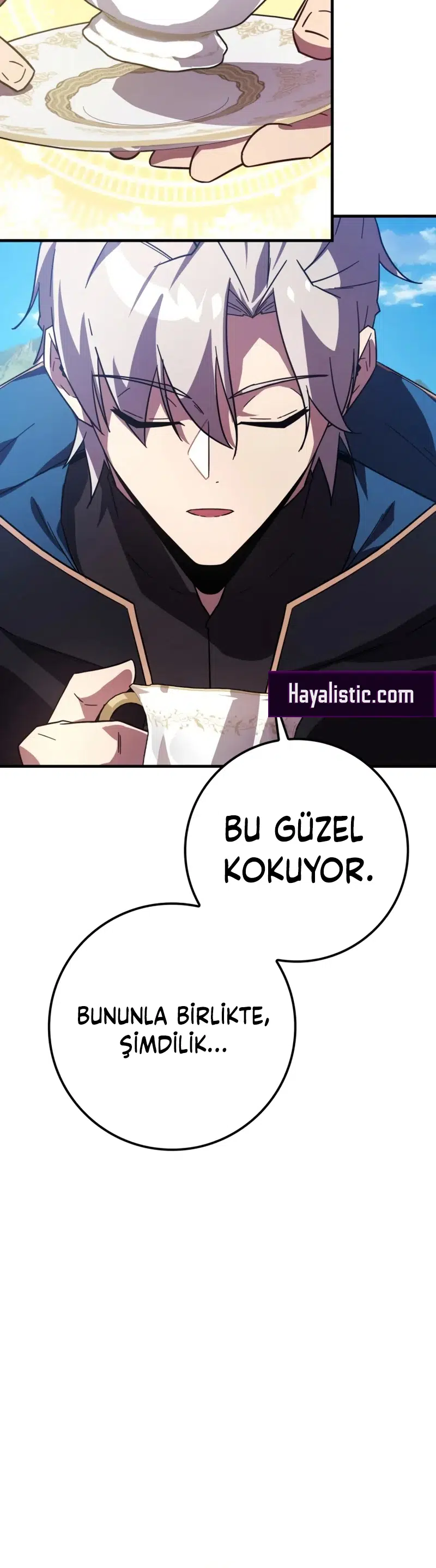 Sınırları Aşan Dahi Büyücü - Bölüm 29 Sayfa 48