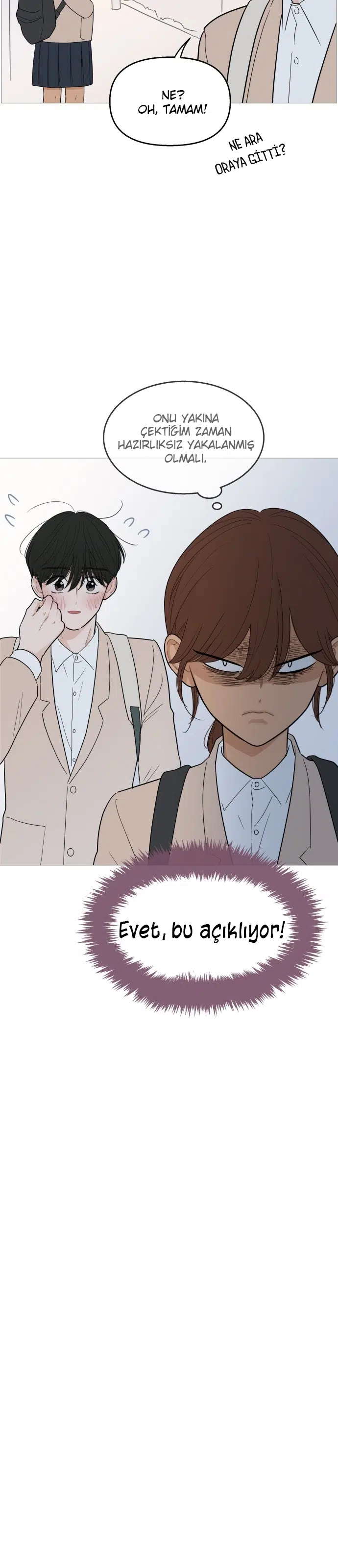 Bir Gülüşe Yenildim - Bölüm 101 Sayfa 12