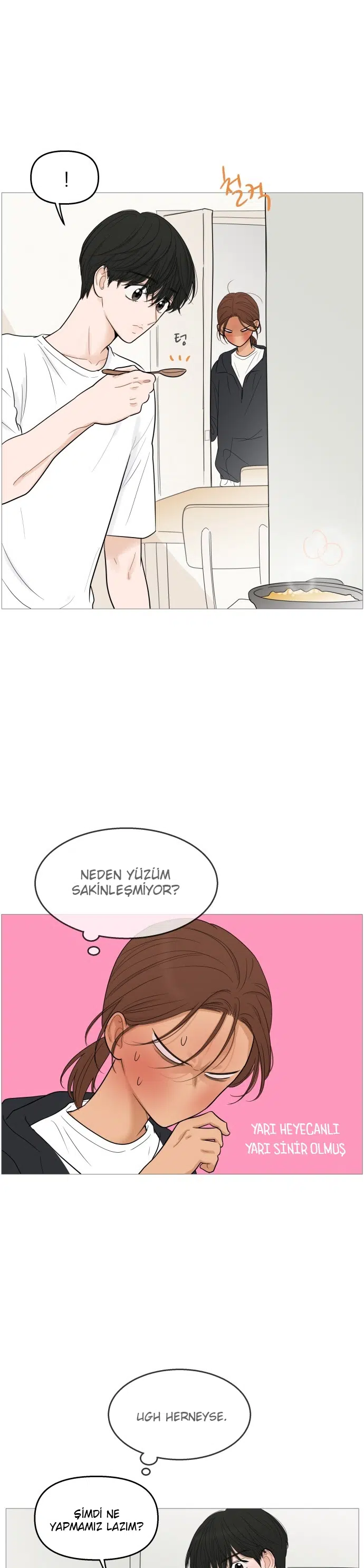 Bir Gülüşe Yenildim - Bölüm 102 Sayfa 15