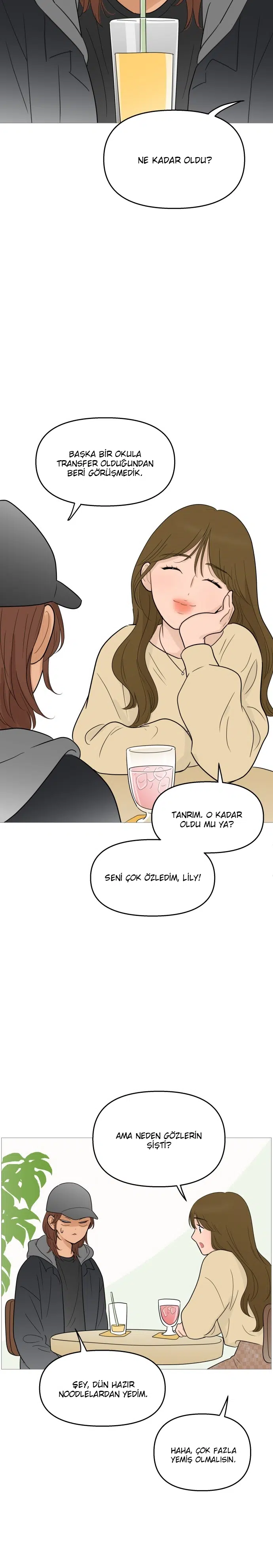 Bir Gülüşe Yenildim - Bölüm 104 Sayfa 19