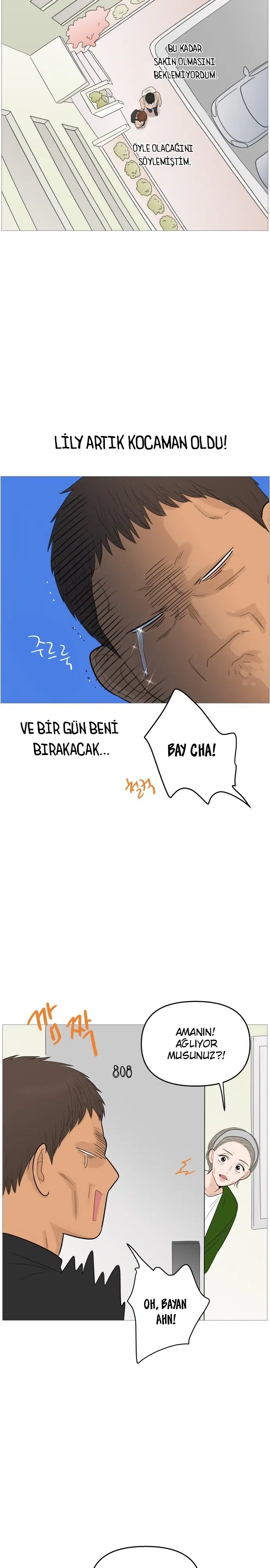 Bir Gülüşe Yenildim - Bölüm 111 Sayfa 11