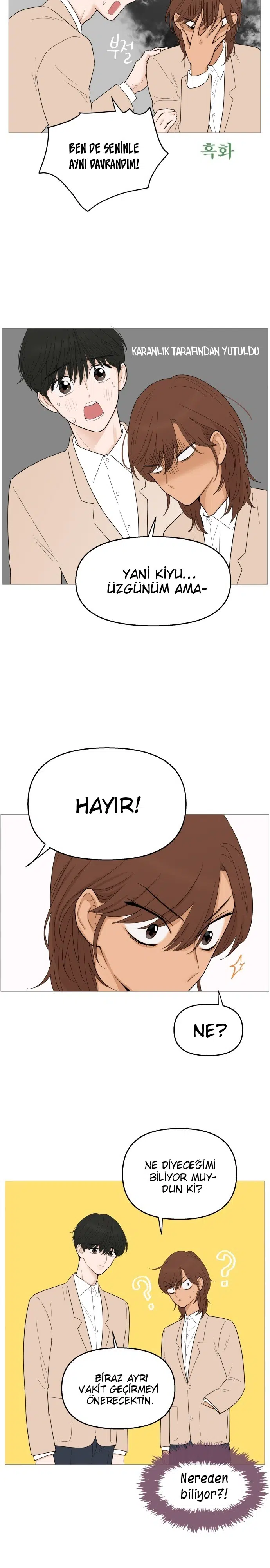 Bir Gülüşe Yenildim - Bölüm 113 Sayfa 11