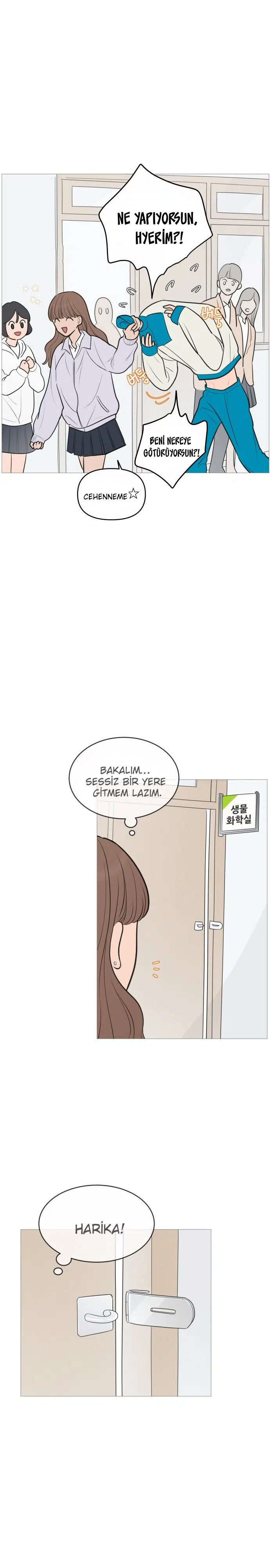 Bir Gülüşe Yenildim - Bölüm 136 Sayfa 17