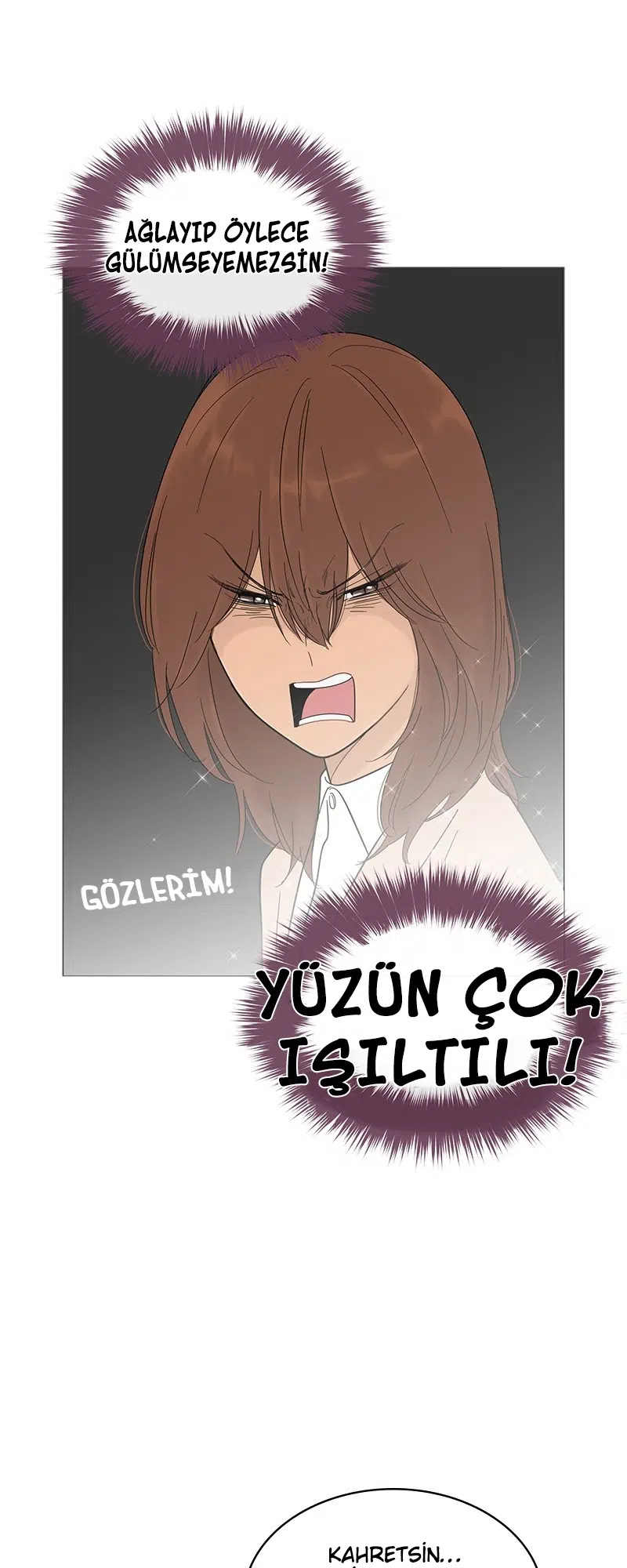 Bir Gülüşe Yenildim - Bölüm 15 Sayfa 17