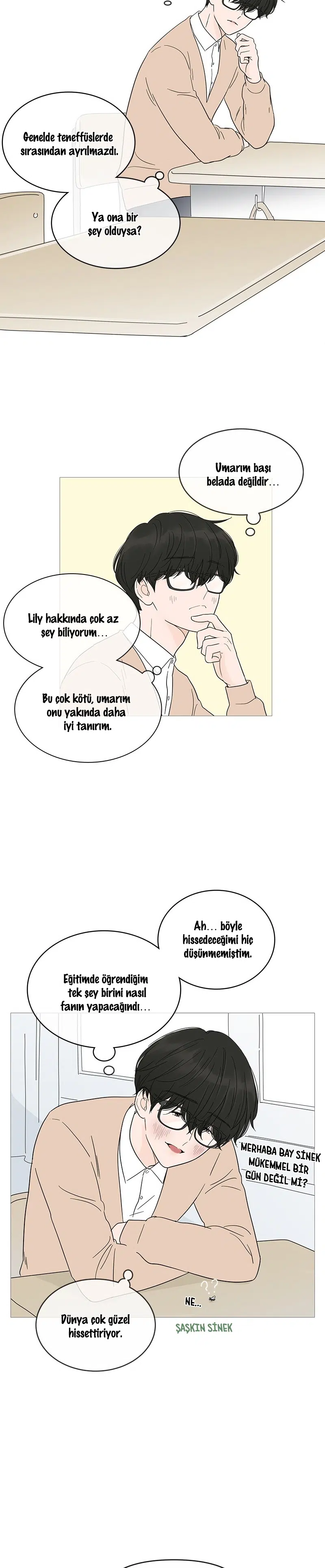Bir Gülüşe Yenildim - Bölüm 16 Sayfa 13