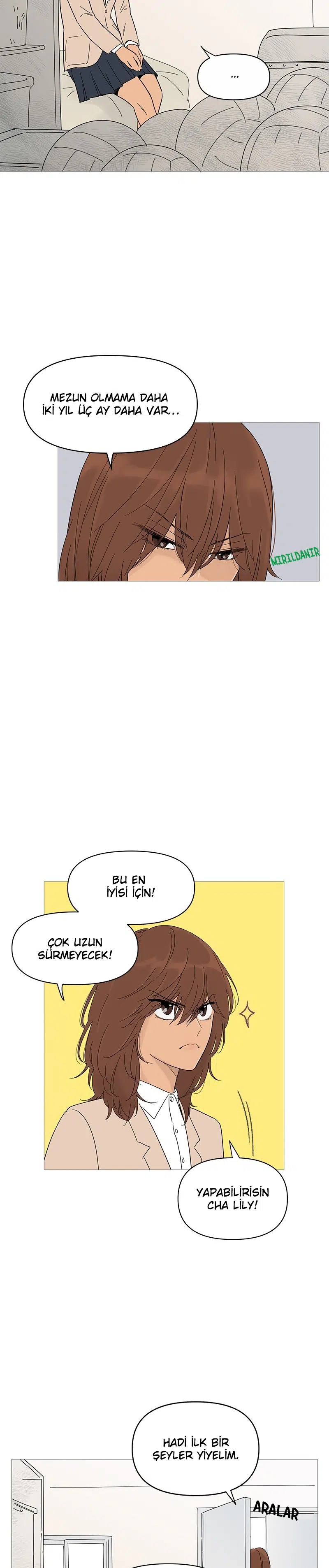 Bir Gülüşe Yenildim - Bölüm 17 Sayfa 11