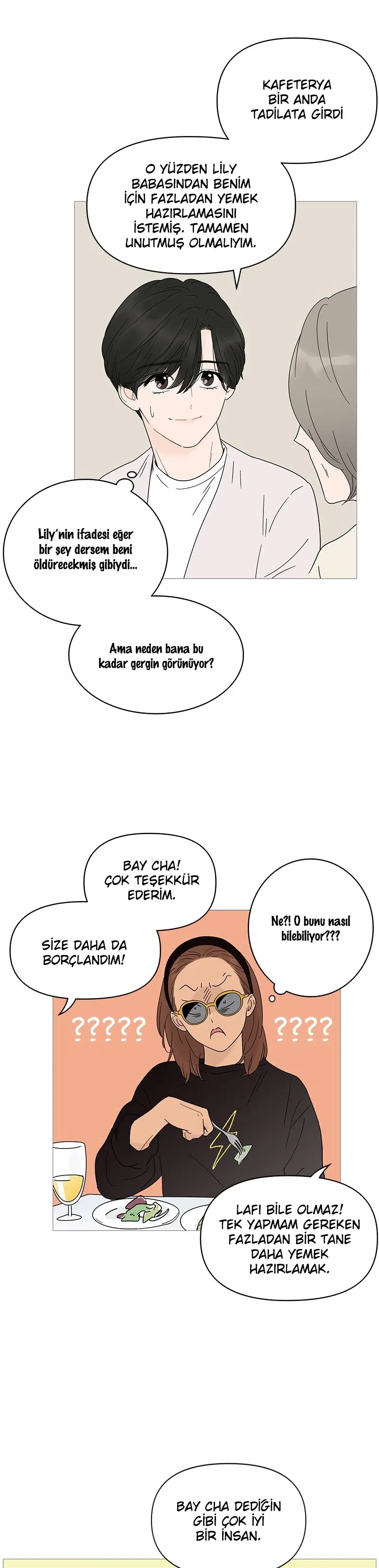 Bir Gülüşe Yenildim - Bölüm 19 Sayfa 27