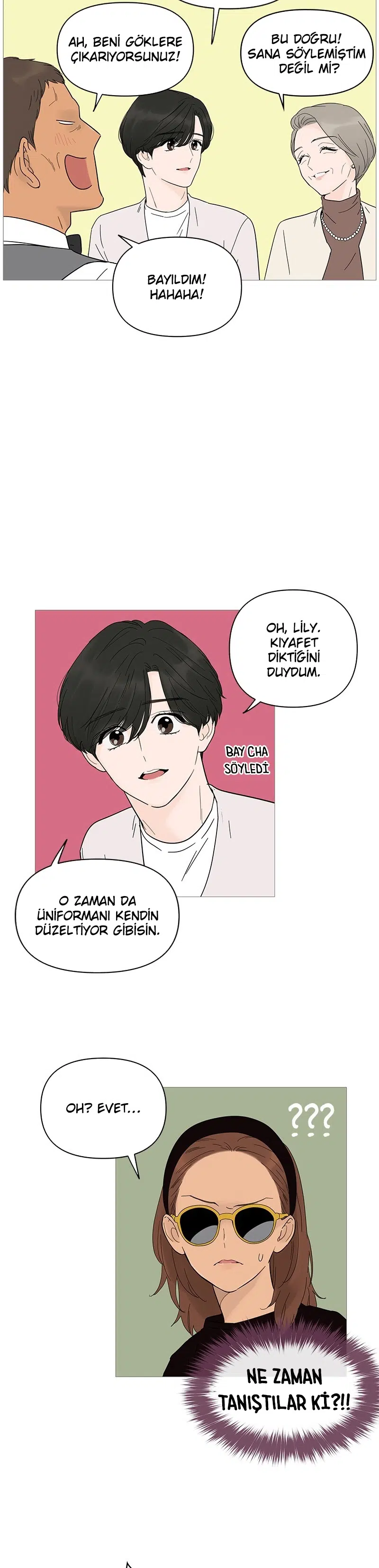 Bir Gülüşe Yenildim - Bölüm 19 Sayfa 28