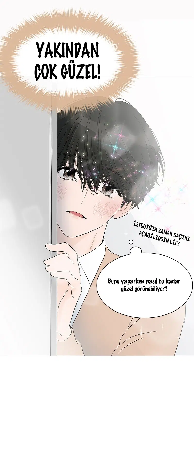 Bir Gülüşe Yenildim - Bölüm 26 Sayfa 14