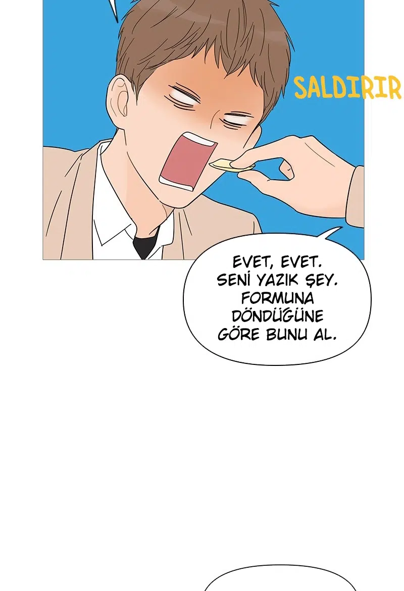 Bir Gülüşe Yenildim - Bölüm 29 Sayfa 17