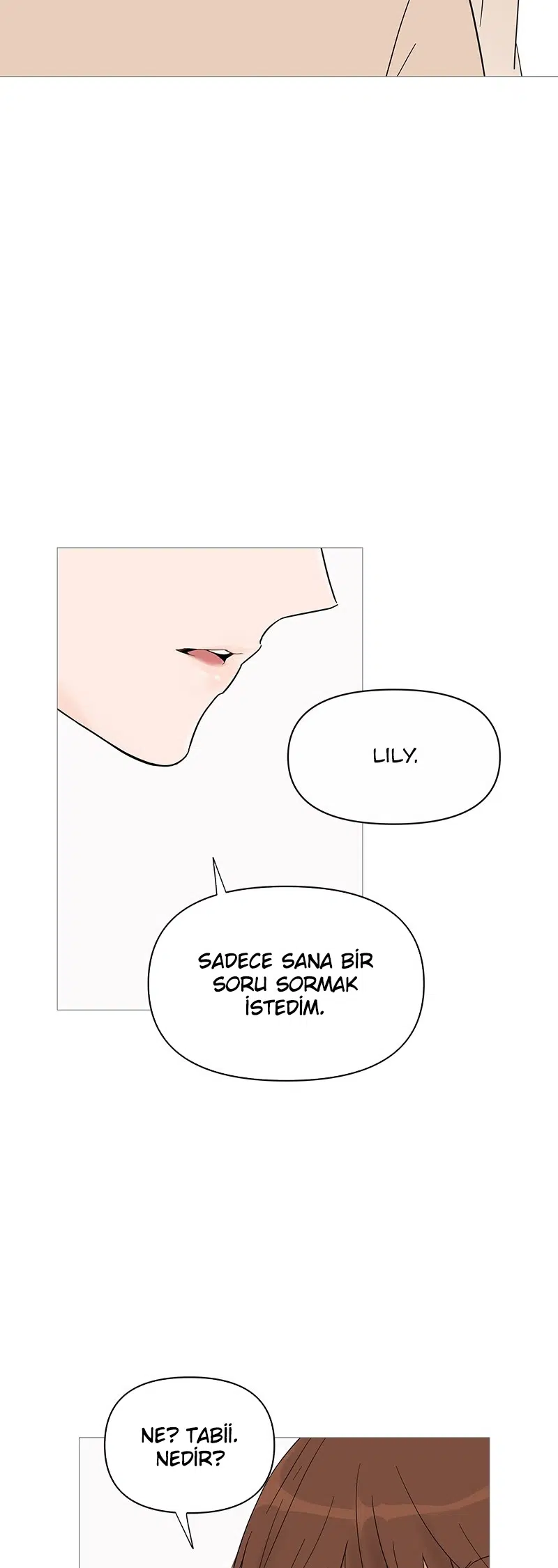 Bir Gülüşe Yenildim - Bölüm 34 Sayfa 27