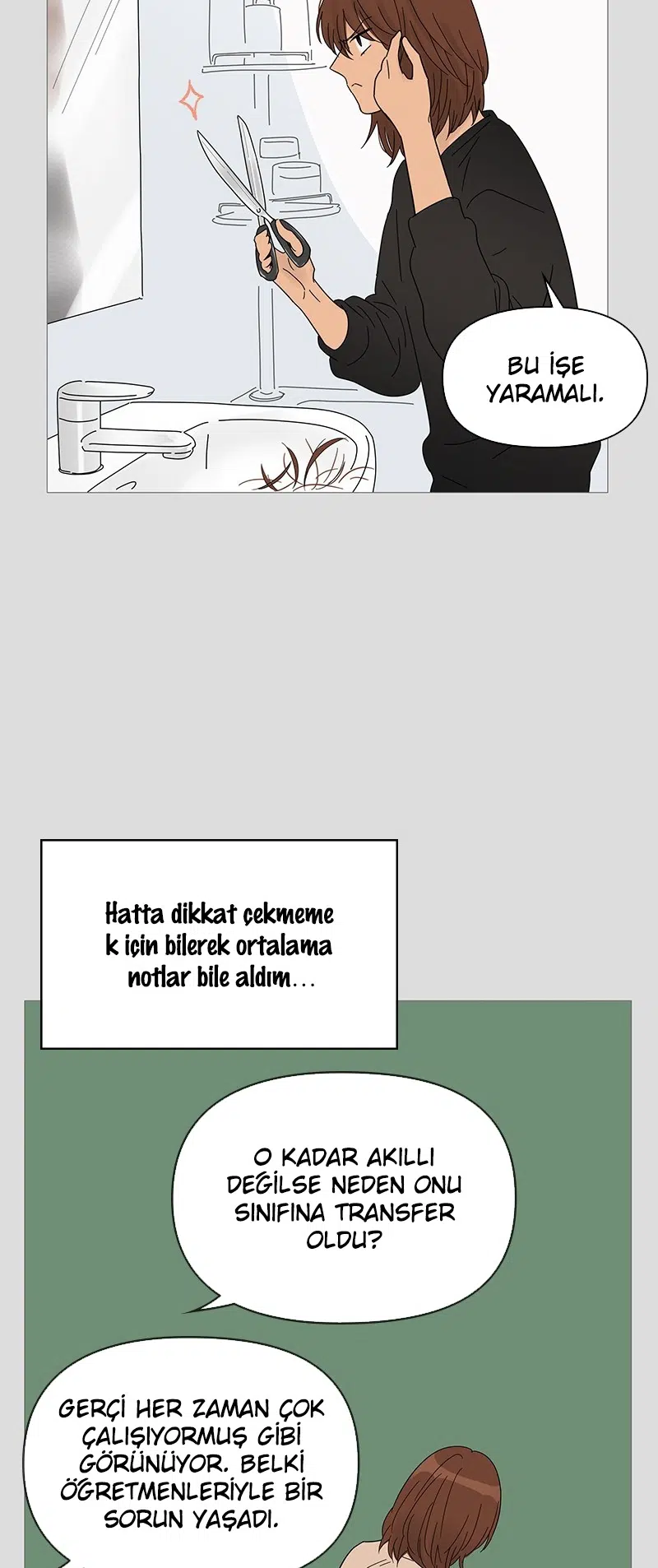 Bir Gülüşe Yenildim - Bölüm 35 Sayfa 27
