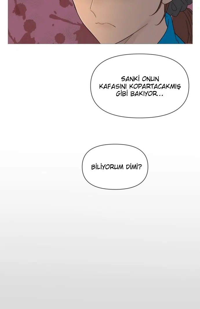 Bir Gülüşe Yenildim - Bölüm 40 Sayfa 17