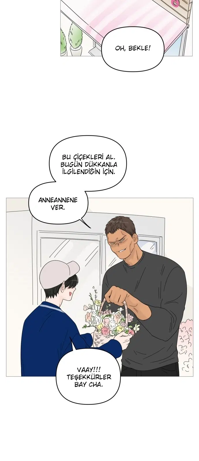 Bir Gülüşe Yenildim - Bölüm 46 Sayfa 33