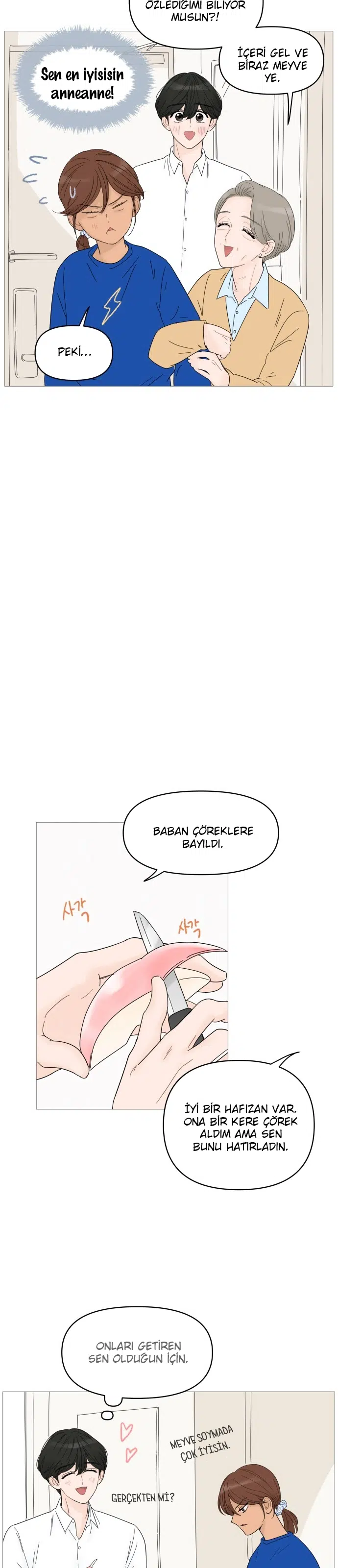 Bir Gülüşe Yenildim - Bölüm 47 Sayfa 9
