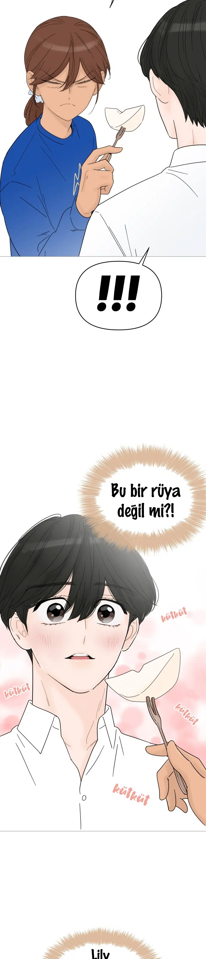 Bir Gülüşe Yenildim - Bölüm 47 Sayfa 12