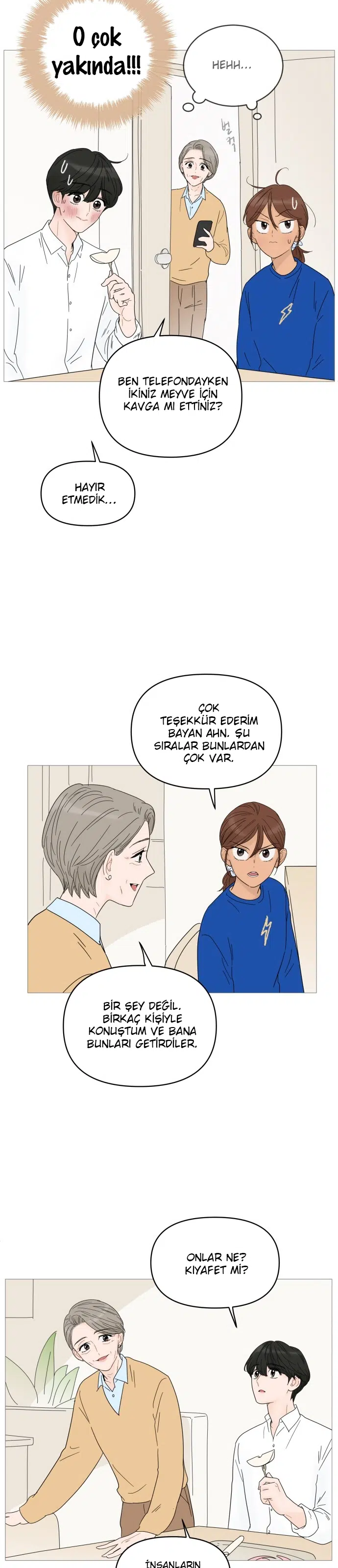 Bir Gülüşe Yenildim - Bölüm 47 Sayfa 17