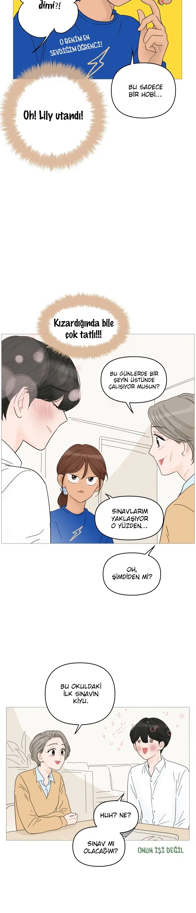 Bir Gülüşe Yenildim - Bölüm 47 Sayfa 19