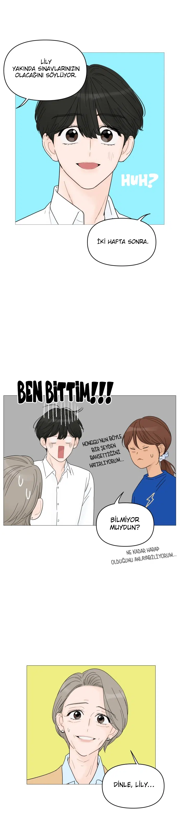 Bir Gülüşe Yenildim - Bölüm 47 Sayfa 20