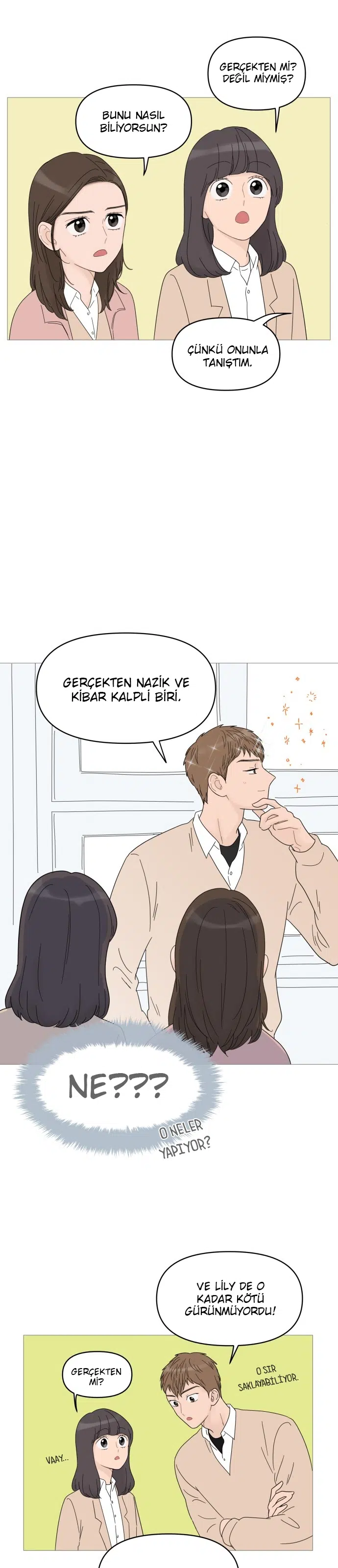 Bir Gülüşe Yenildim - Bölüm 48 Sayfa 12