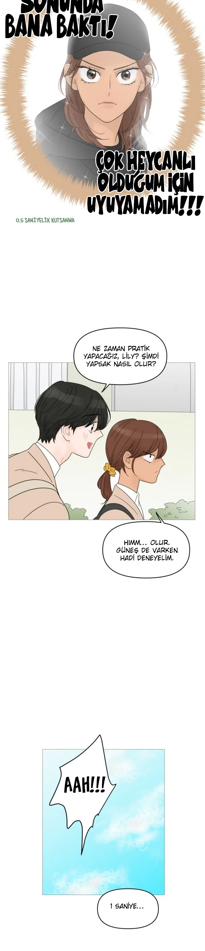 Bir Gülüşe Yenildim - Bölüm 51 Sayfa 17