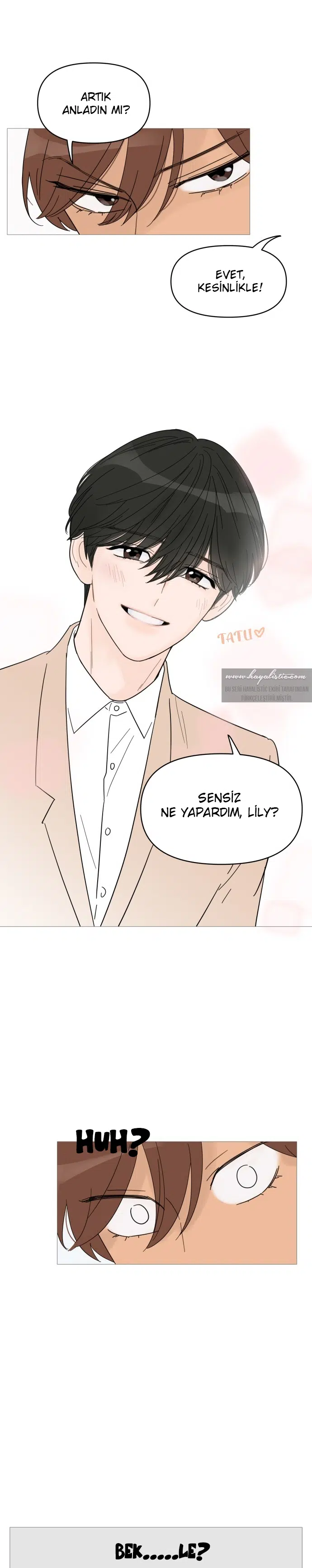 Bir Gülüşe Yenildim - Bölüm 53 Sayfa 12