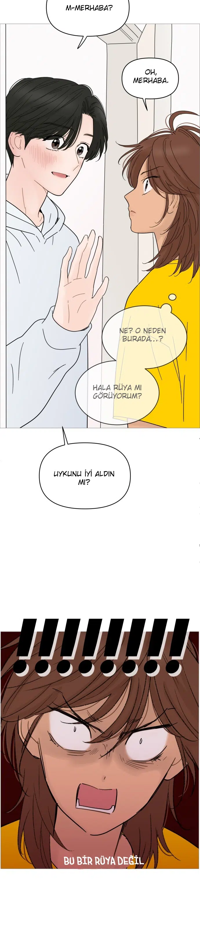Bir Gülüşe Yenildim - Bölüm 66 Sayfa 12