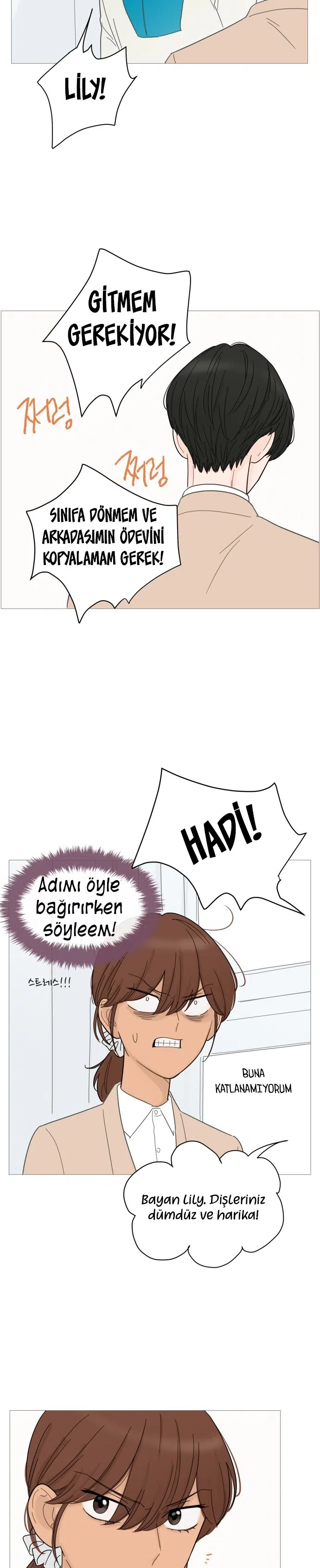 Bir Gülüşe Yenildim - Bölüm 70 Sayfa 17