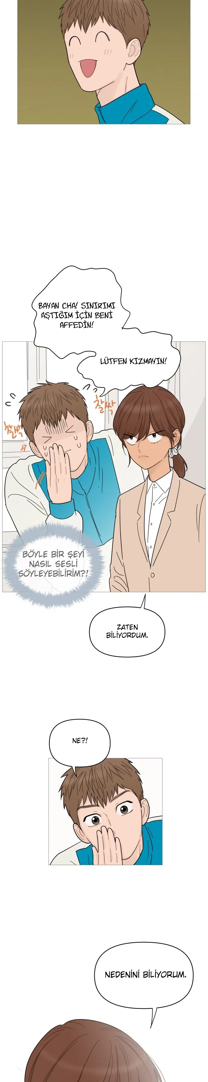 Bir Gülüşe Yenildim - Bölüm 70 Sayfa 20