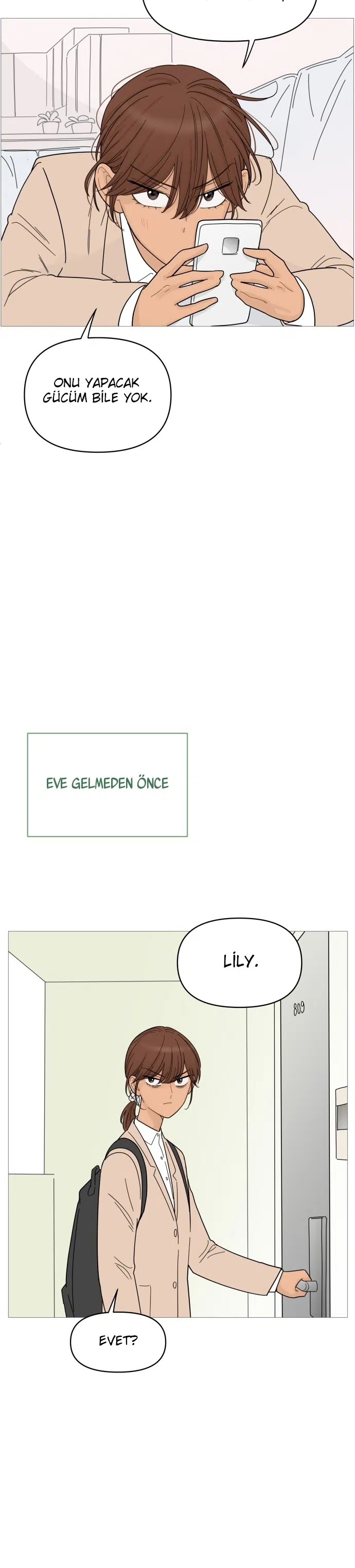 Bir Gülüşe Yenildim - Bölüm 75 Sayfa 13