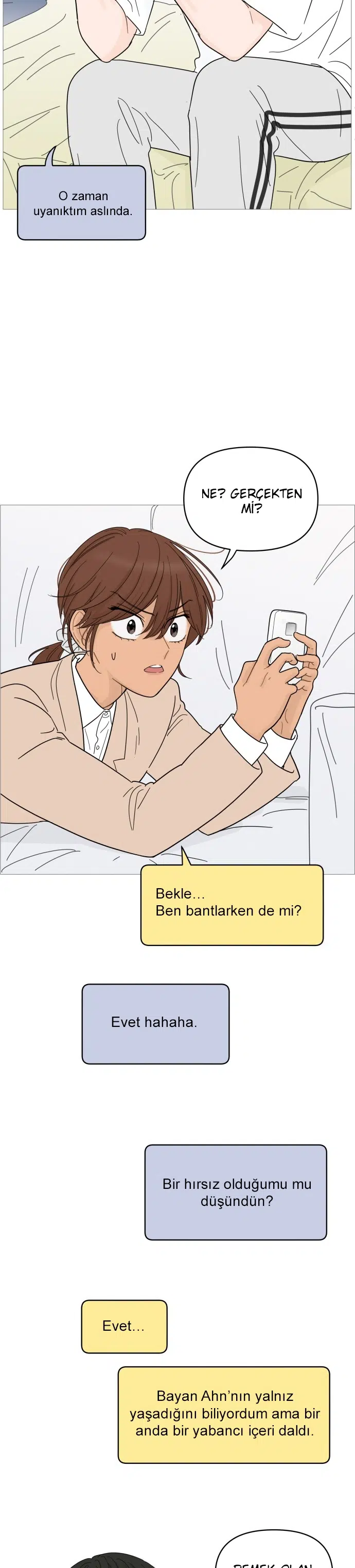 Bir Gülüşe Yenildim - Bölüm 75 Sayfa 17