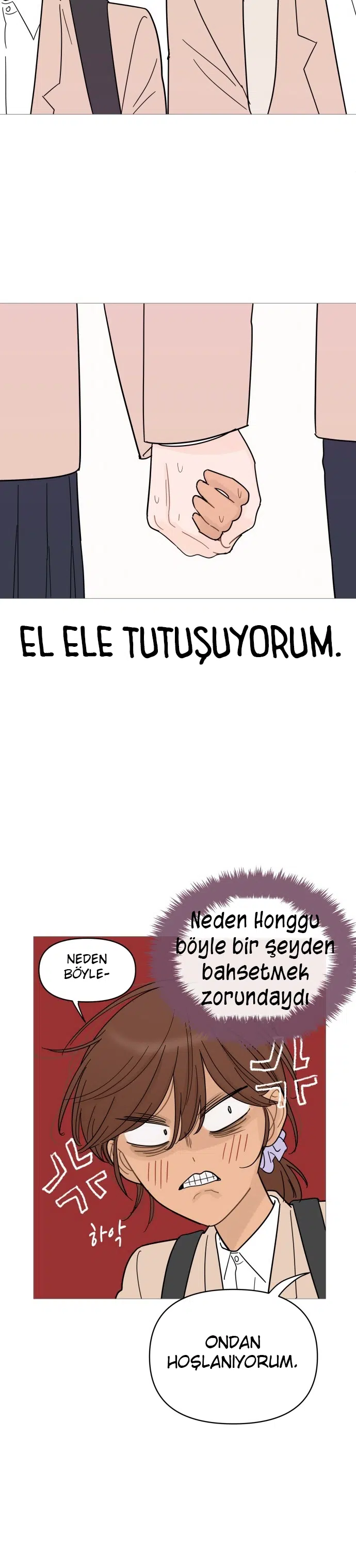 Bir Gülüşe Yenildim - Bölüm 76 Sayfa 17