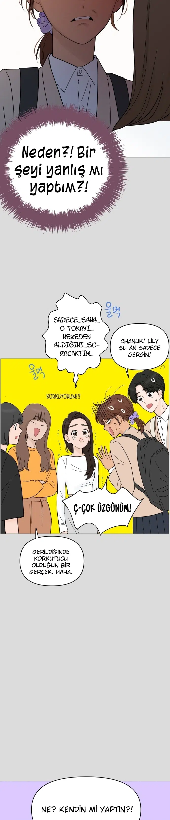 Bir Gülüşe Yenildim - Bölüm 81 Sayfa 12