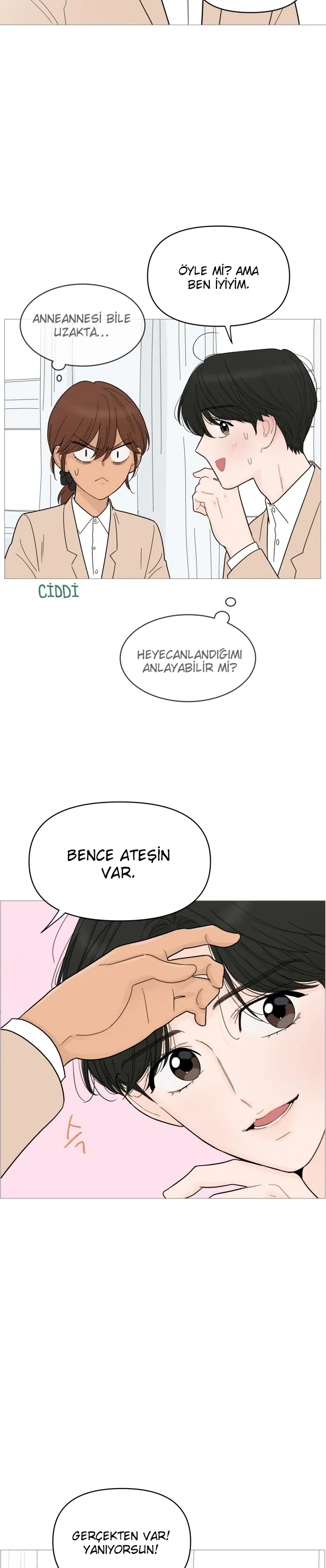 Bir Gülüşe Yenildim - Bölüm 82 Sayfa 3