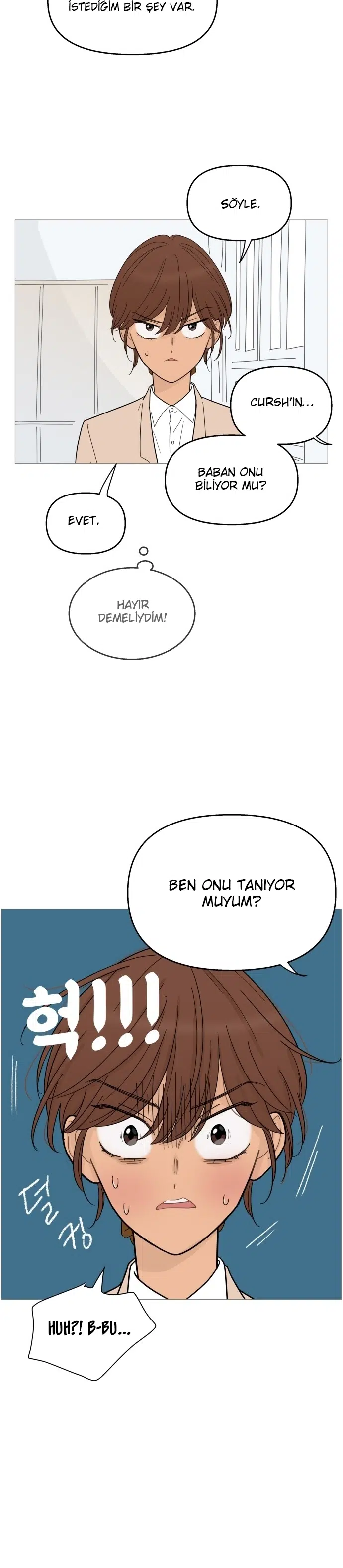 Bir Gülüşe Yenildim - Bölüm 86 Sayfa 21