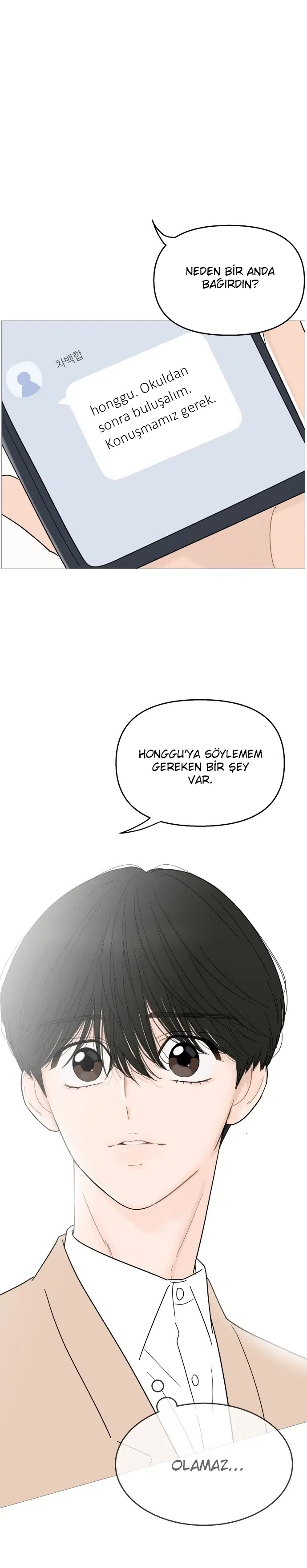 Bir Gülüşe Yenildim - Bölüm 88 Sayfa 22