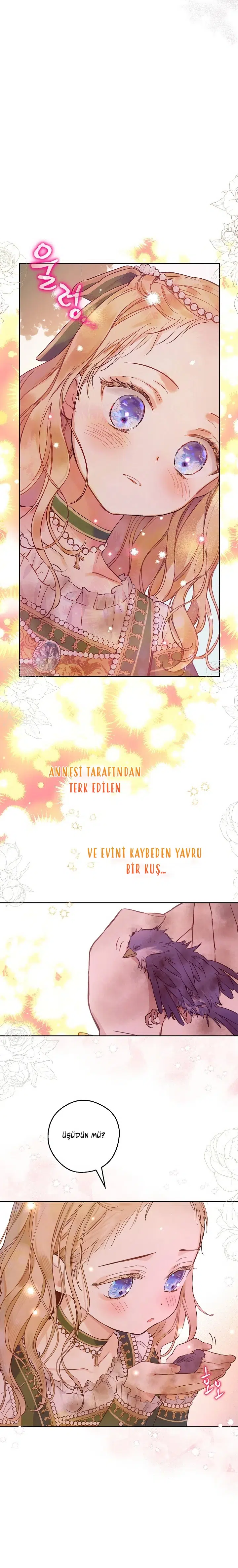 Terk Edilmiş Topraklar - Bölüm 3 Sayfa 11
