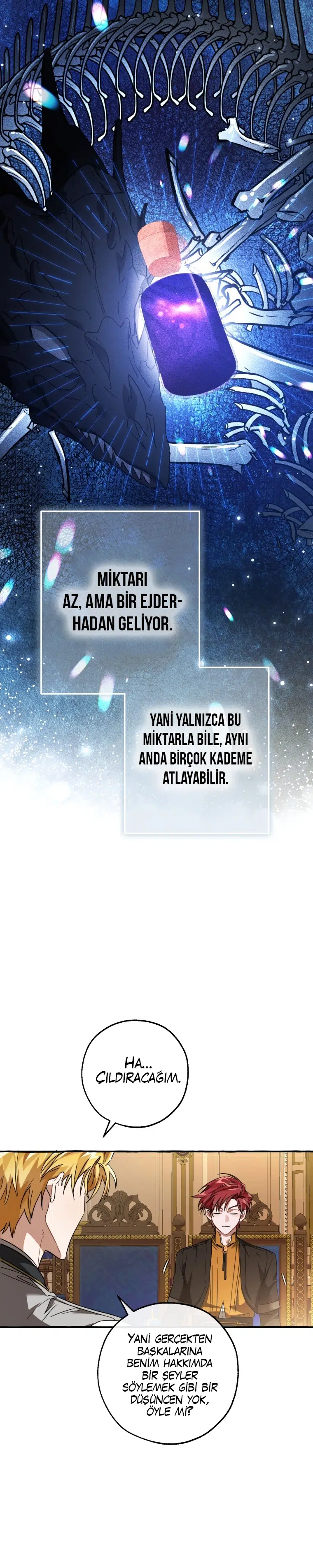 Soylu Ailenin işe Yaramaz Oğlu - Bölüm 114 Sayfa 12